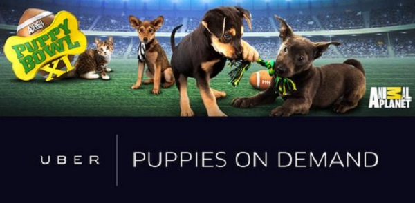 Uber lanza iniciativa Puppies On Demand