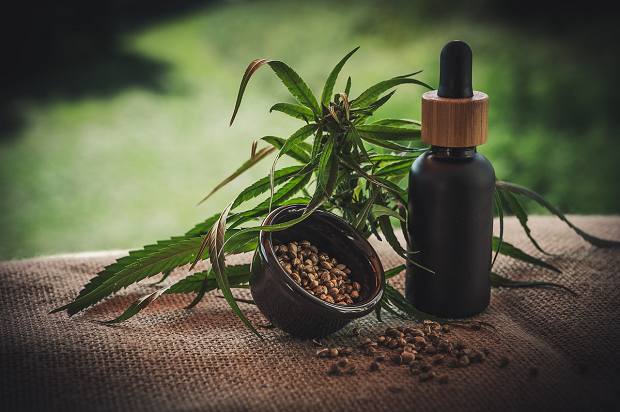 Consumers love cannabis: CBD products sales go through the roof in January 2020